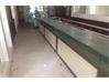 Commercial Shop-Mulgi for Rent in Ameerpet